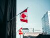 What Canada’s Sports Betting Market Could Learn From the American Playbook Canada's Sports Betting Market